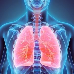 A medical scan for assessing lung health and detecting abnormalities.