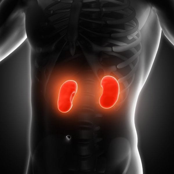banner image of kidney profile test