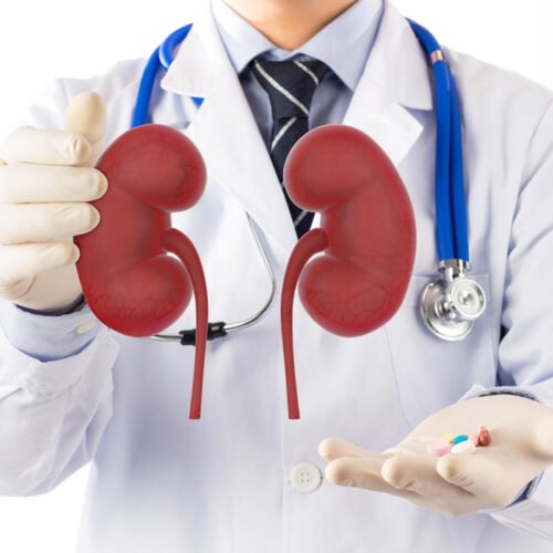 Kidney Profile