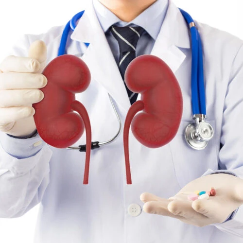 Kidney Profile