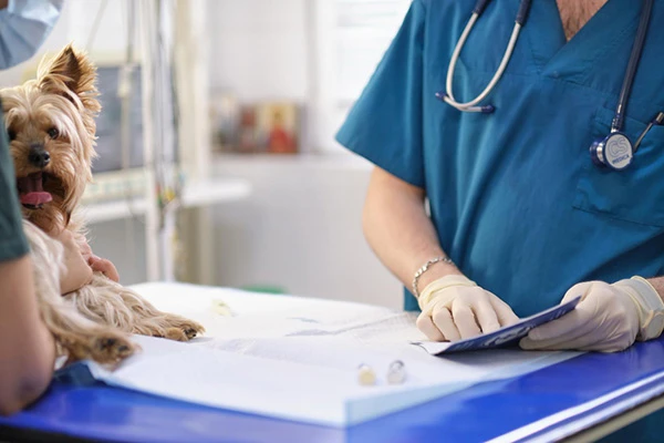 Advance-vet-path-divison-A